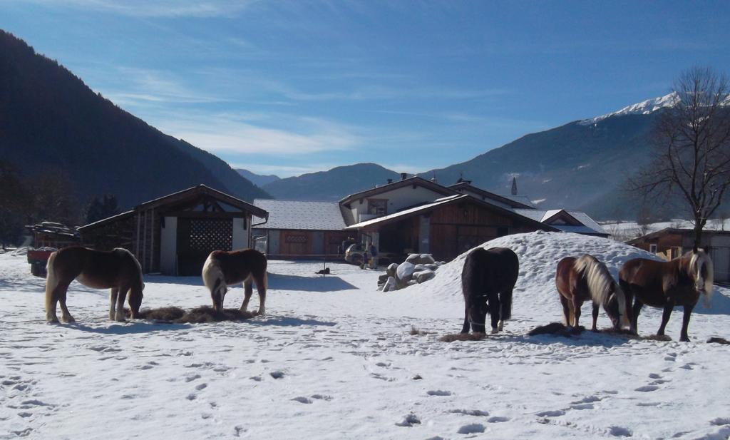 Agriturismo Maso Grisun Borzago Eksteriør bilde