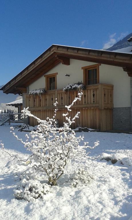 Agriturismo Maso Grisun Borzago Eksteriør bilde