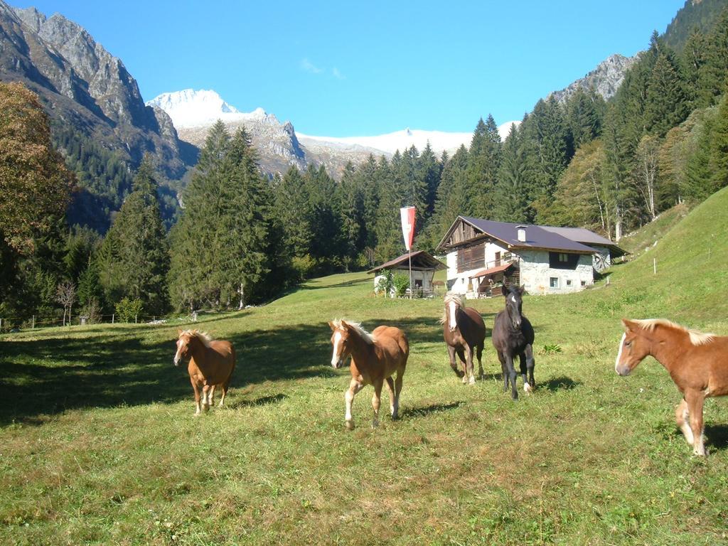 Agriturismo Maso Grisun Borzago Eksteriør bilde