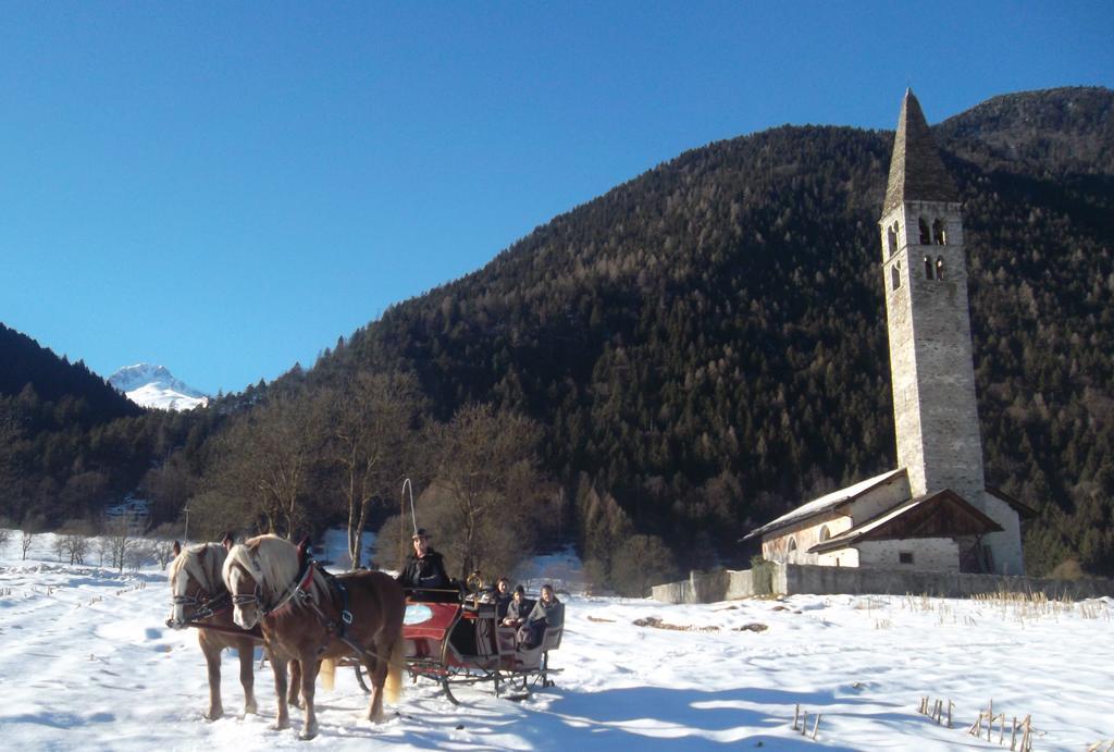 Agriturismo Maso Grisun Borzago Eksteriør bilde
