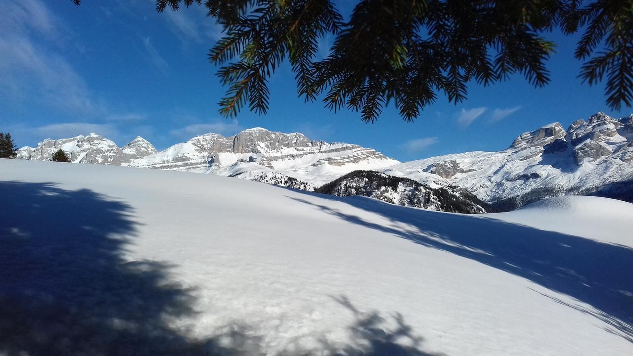 Agriturismo Maso Grisun Borzago Eksteriør bilde