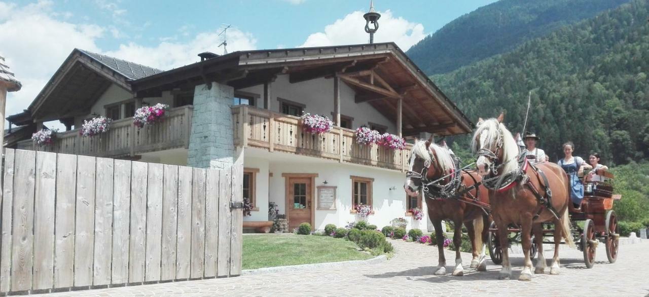 Agriturismo Maso Grisun Borzago Eksteriør bilde